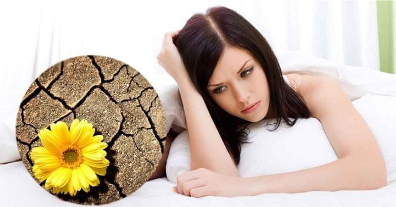 Âm đạo bị khô rát là tình trạng xảy ra phổ biến ở nhiều mẹ sau sinh  (Ảnh: Sưu tầm Internet)