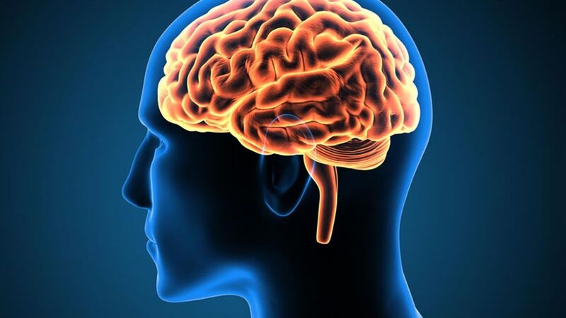 Vitamin B5 giúp hỗ trợ chức năng và tăng cường sức khỏe thần kinh. (Ảnh: Sưu tầm Internet)