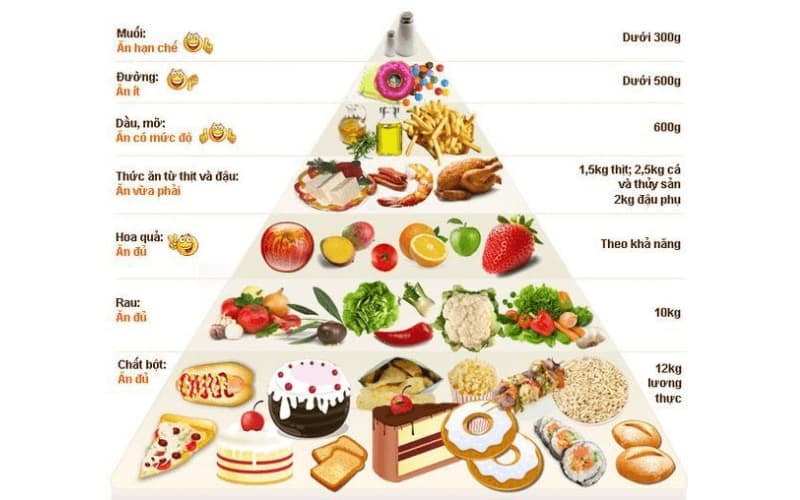 Thành phần trong tháp dinh dưỡng cho người gầy. (Ảnh: Sưu tầm Internet)