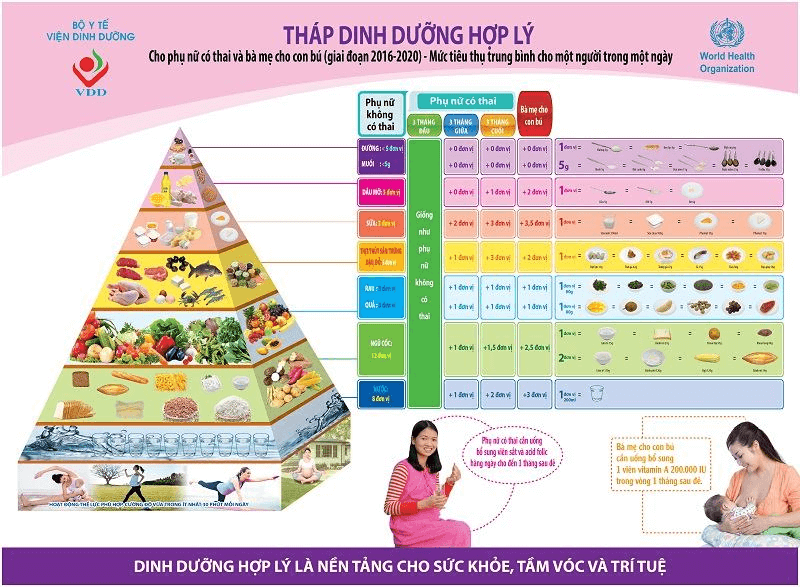 Tháp dinh dưỡng cho bà bầu 3 tháng đầu. (Ảnh: Viện Dinh dưỡng Quốc gia)