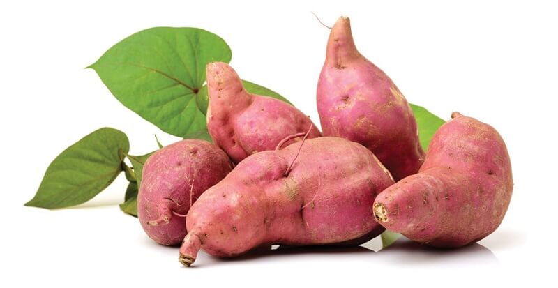 Tổng hợp lượng vitamin và các khoáng chất có trong khoai lang. (Ảnh: Sưu tầm Internet)