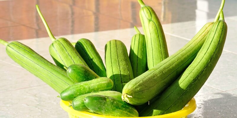 Ăn mướp giúp mẹ điều hòa kinh nguyệt tốt hơn. (Ảnh: Sưu tầm Internet) 