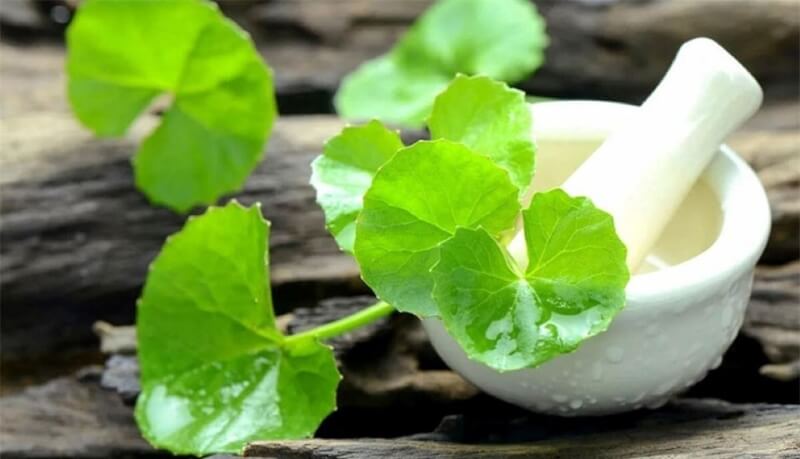 Thời gian cần thiết để mẹ sau sinh được phép ăn rau má. (Ảnh: Sưu tầm Internet)