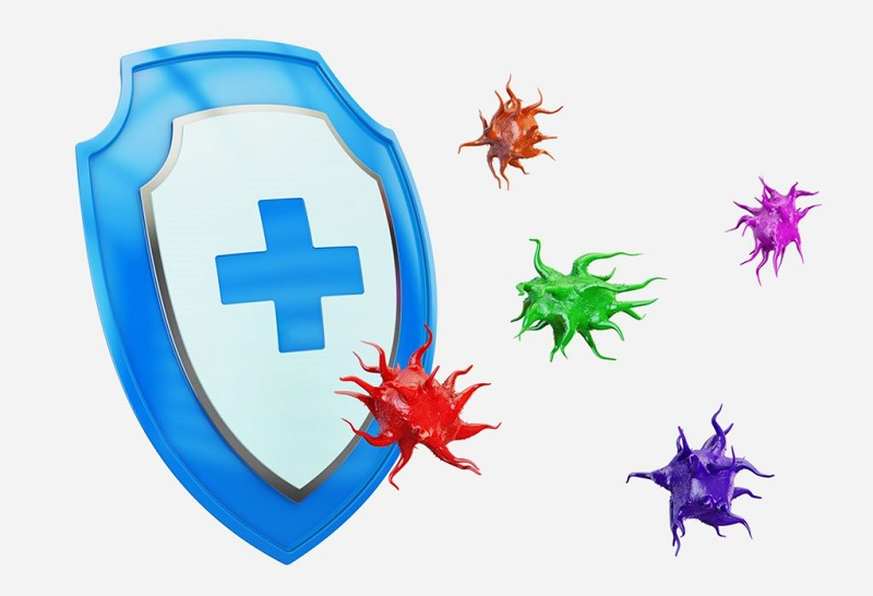 Giúp hỗ trợ cho hệ miễn dịch được khỏe mạnh. (Ảnh: Sưu tầm Internet)