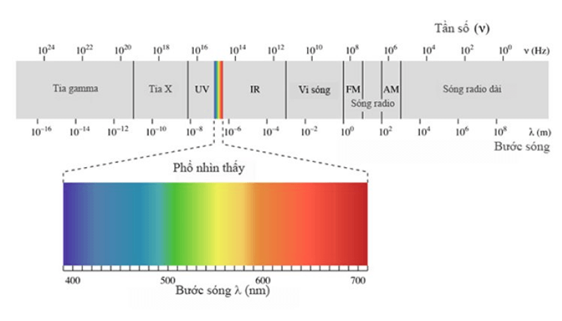 Phân loại bức xạ điện từ. (Ảnh: Sưu tầm Internet)