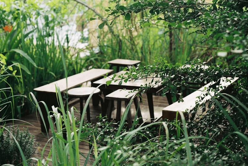 Cú trên cây: Địa điểm ăn uống Sài Gòn. (Ảnh: Sưu tầm Internet)