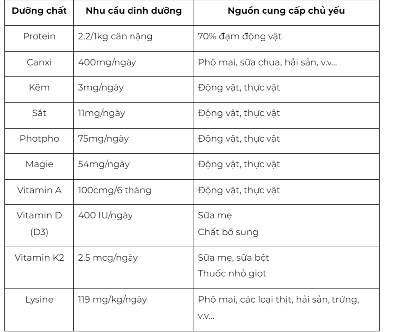 Nhóm chất dinh dưỡng cần thiết cho bé ăn dặm. (Ảnh: Tổng hợp)
