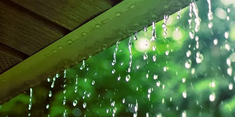 Dàn ý miêu tả cảnh một cơn mưa rào. (Ảnh: Sưu tầm Internet)