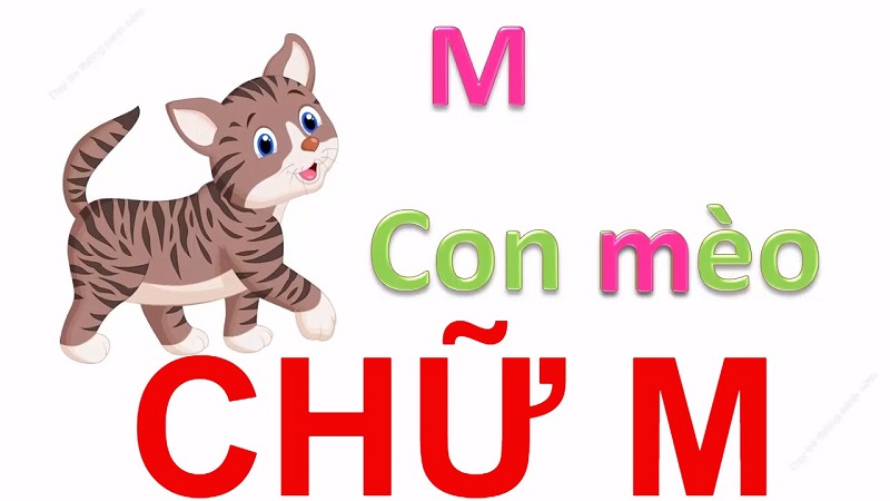 Vận dụng những gì đã học vào cuộc sống giúp trẻ ghi nhớ nhanh hơn. (Ảnh: giasutriviet.edu.vn)
