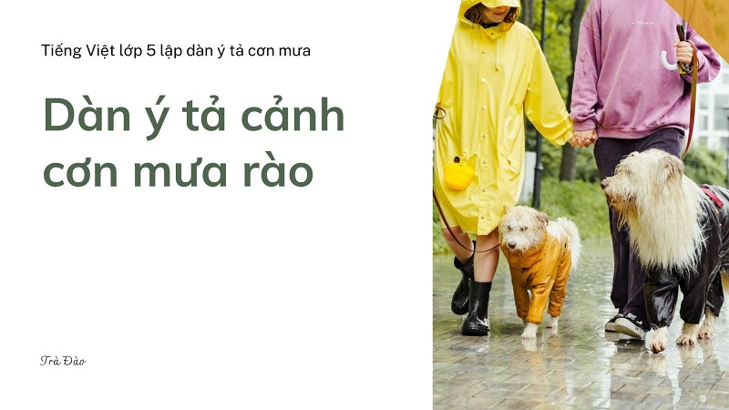 Dàn ý tả cảnh một cơn mưa rào. (Ảnh: Trà Đào)