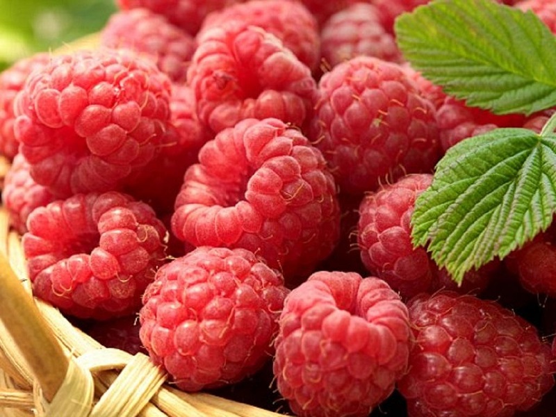 Quả mâm xôi đỏ có thể đáp ứng tốt nhu cầu vitamin K cần thiết cho cơ thể. (Ảnh: Sưu tầm Internet)