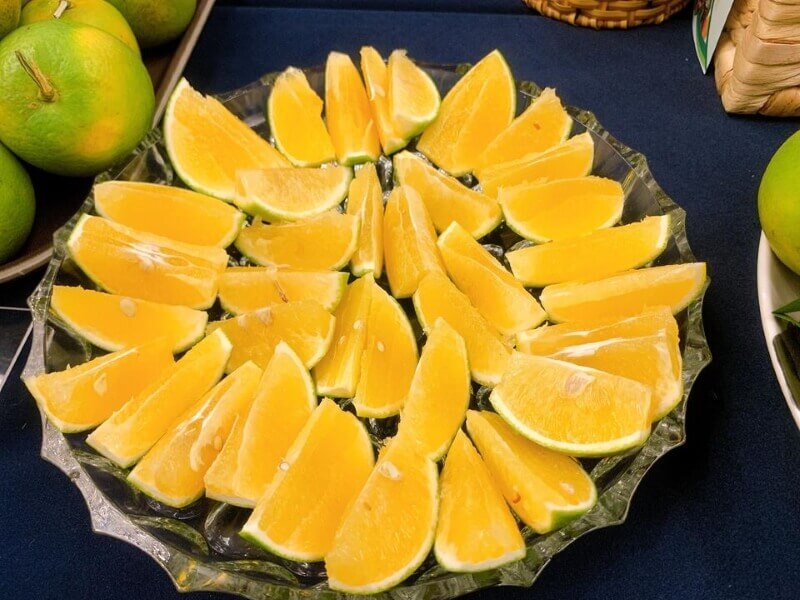 Cam Xoàn được ưa chuộng nhờ đặc điểm ít hạt và chắc múi. (Ảnh: Sưu tầm Internet)