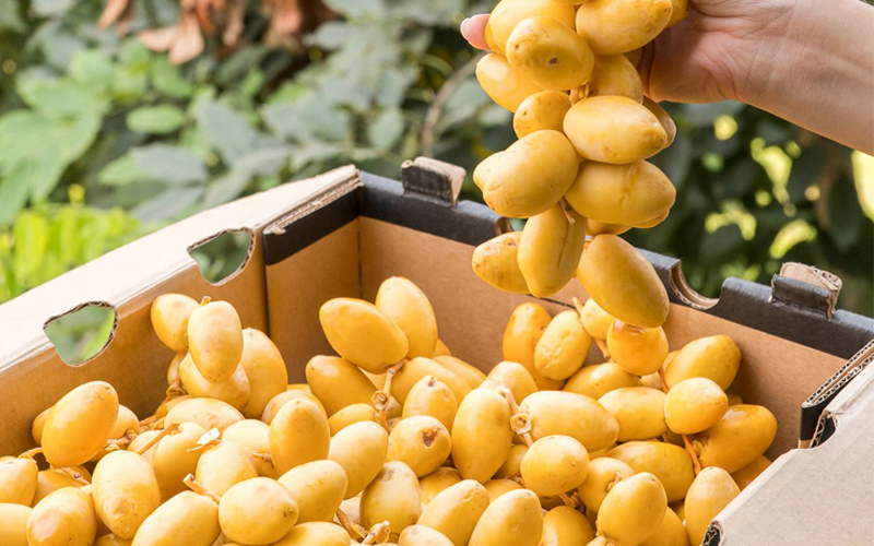 Trái chà là. (Ảnh: Sưu tầm Internet)