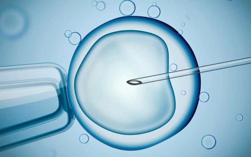 Phương pháp thụ tinh nhân tạo IVF. (Ảnh: Sưu tầm Internet)