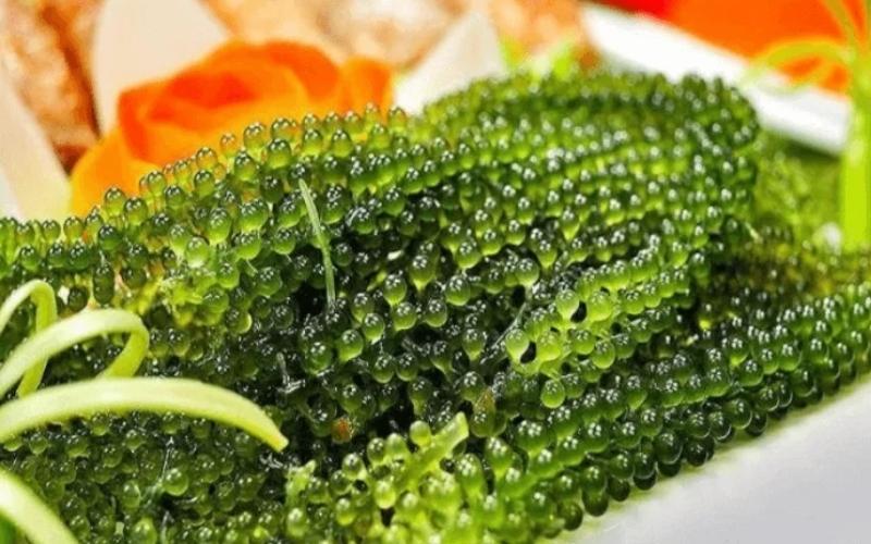 Dinh dưỡng rong nho có lợi cho sức khoẻ con người. (Ảnh: Sưu tầm Internet)