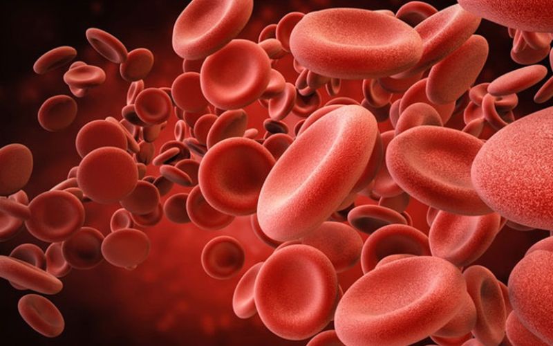 Lưu lượng máu tăng là nguyên nhân gây ra hiện tượng bị phù chân ở bà bầu. (Ảnh: Sưu tầm Internet)