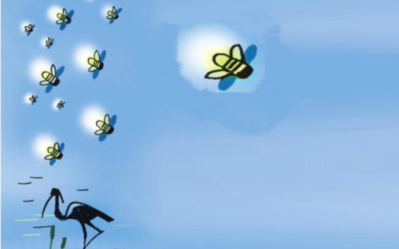 Bài thơ Anh đom đóm lớp 3. (Ảnh: Sưu tầm Internet)