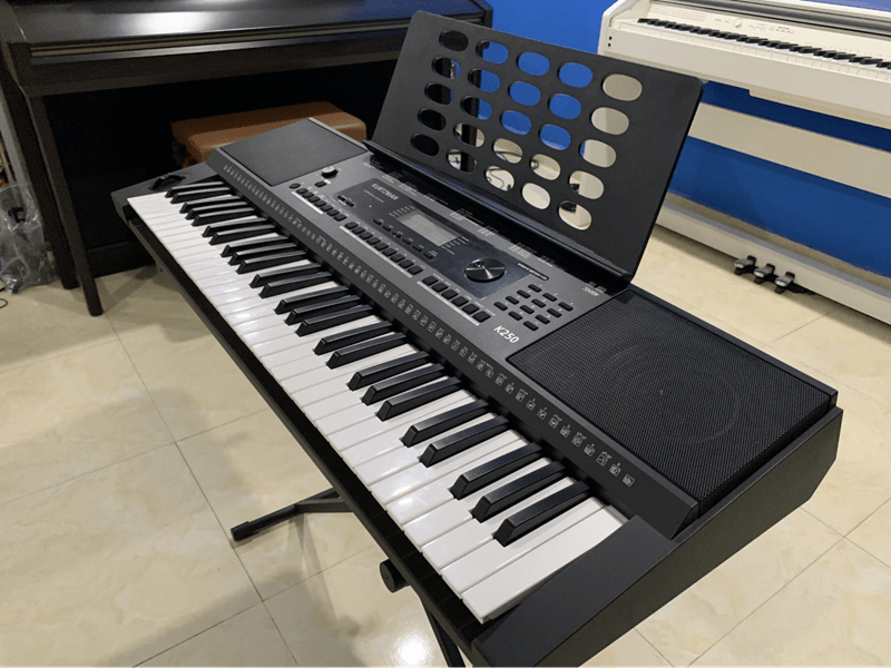 Giới thiệu về đàn organ. (Ảnh: Sưu tầm Internet)