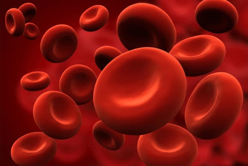 Tại sao chúng ta lại bị thiếu máu do thiếu sắt. (Ảnh: Sưu tầm Internet)