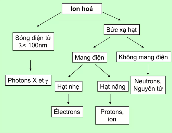 Phân loại bức xạ ion hóa. (Ảnh: Sưu tầm Internet)