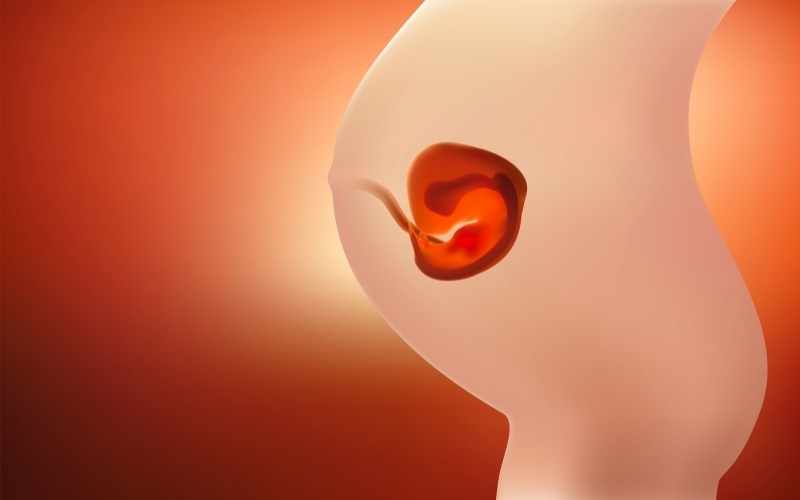 Thai nhi tháng thứ 4 đã bắt đầu đạp máy. (Ảnh: Sưu tầm Internet)