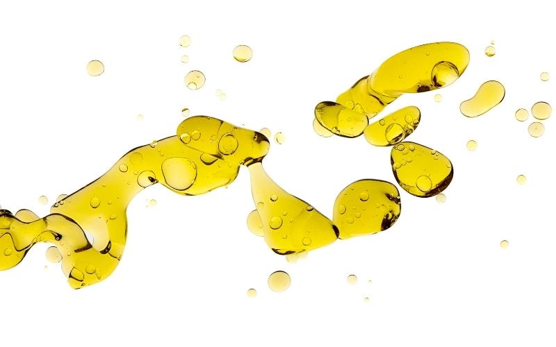 Chất béo là các este giữa acid béo và ancol. (Ảnh: Sưu tầm Internet)