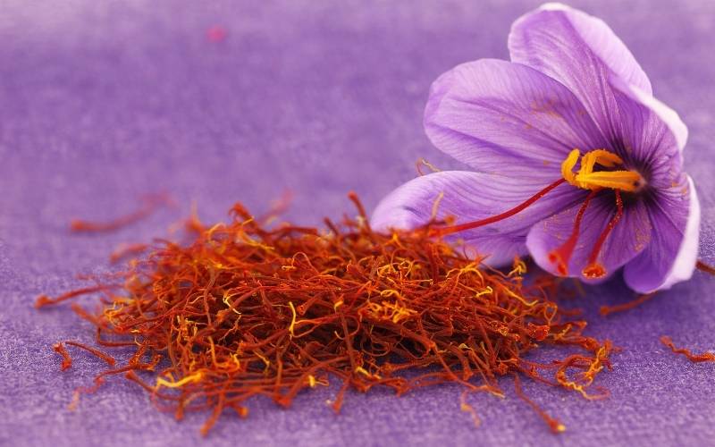 Uống saffron có nhiều lợi ích cho sức khỏe. (Ảnh: Sưu tầm Internet)