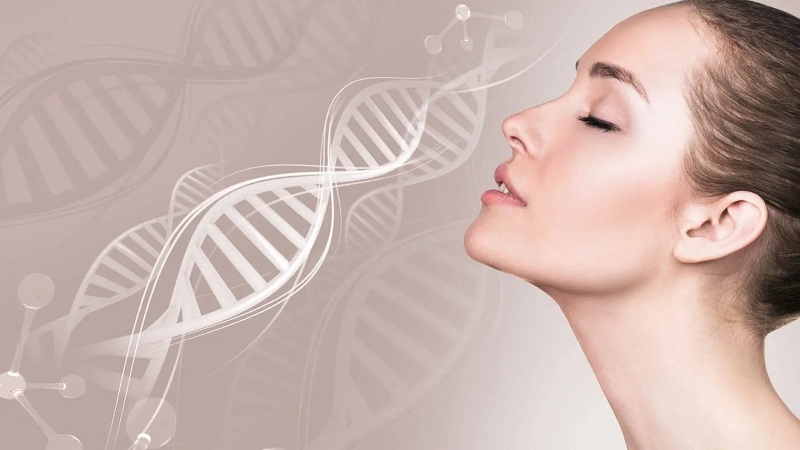 Collagen là một dạng protein có trong cơ thể người (Ảnh: Sưu tầm Internet)