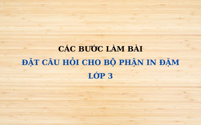 Cách thực hiện bài xích đặt câu hỏi cho bộ phận in đậm lớp 3. (Ảnh: Monkey)