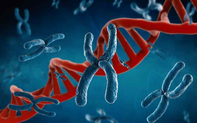 Nguyên nhân chính gây ra không có phôi thai do bất thường nhiễm sắc thể số 9. (Ảnh: Sưu tầm Internet)