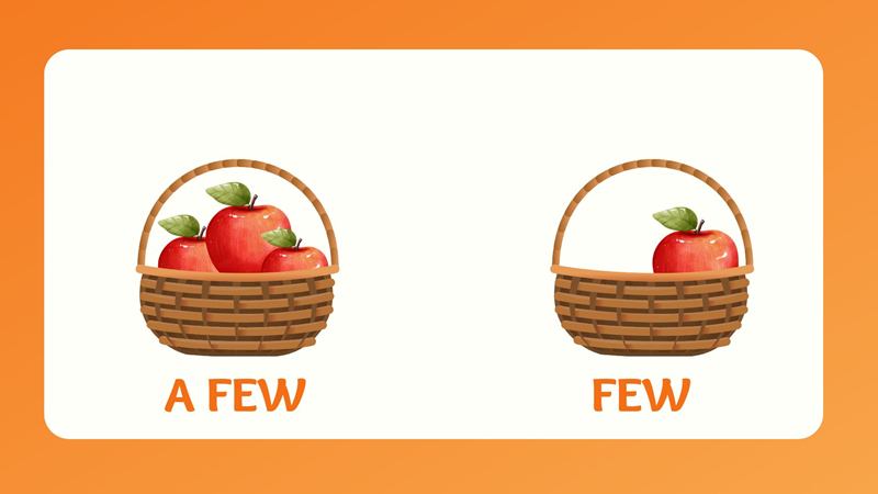 Few and A few. (Image: Internet)