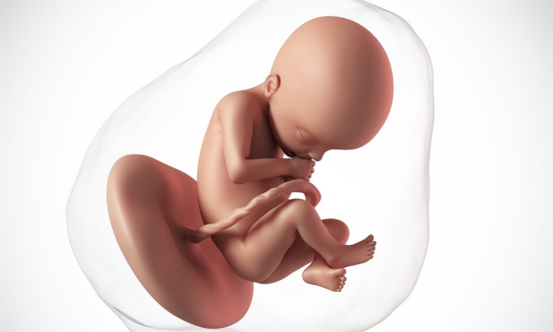  Bệnh ảnh hưởng như thế nào đến thai nhi? (Ảnh: Sưu tầm Internet)