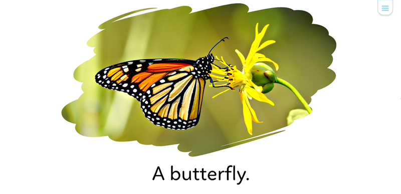 Học tiếng Anh qua ảnh thật là cách học tự nhiên giống trẻ bản xứ. (Ảnh: Monkey)