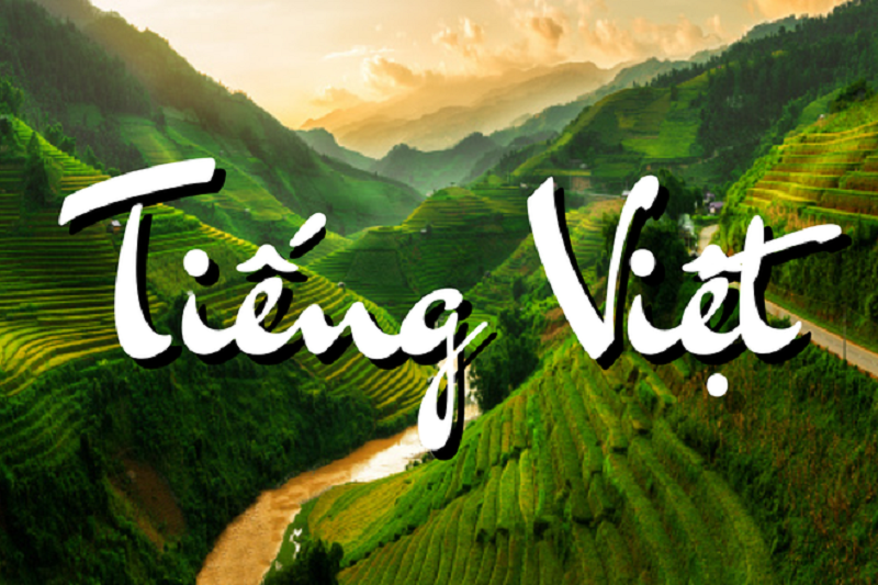 Có nên cho bé học Tiếng Việt lớp 2 trên mạng hay không? (Ảnh: Sưu tầm internet)