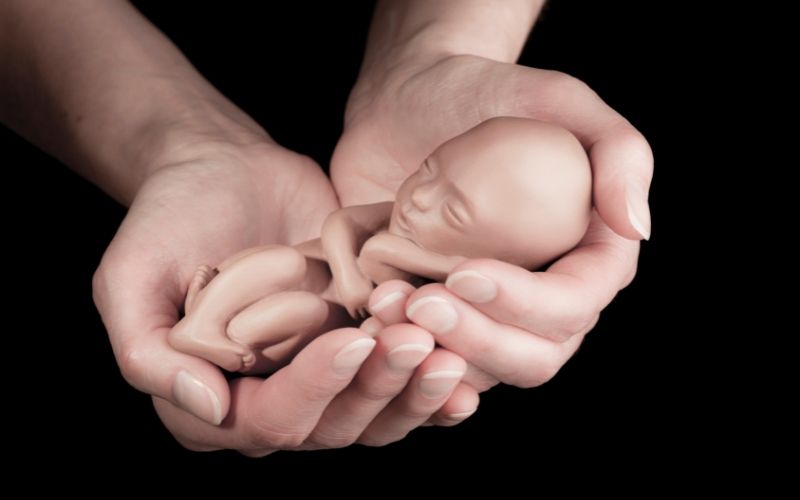 Hút thai nhằm mục đích kết thúc thai kỳ từ rất sớm. (Ảnh: Sưu tầm Internet)