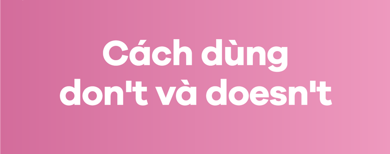 Don't và doesn't trong tiếng Anh. (Ảnh: Sưu tầm Internet)