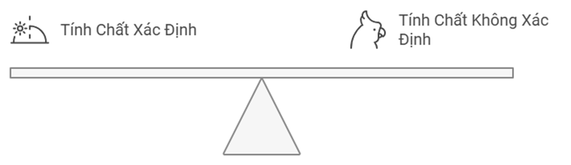 Tính chất xác định và không xác định. (Ảnh: Monkey)