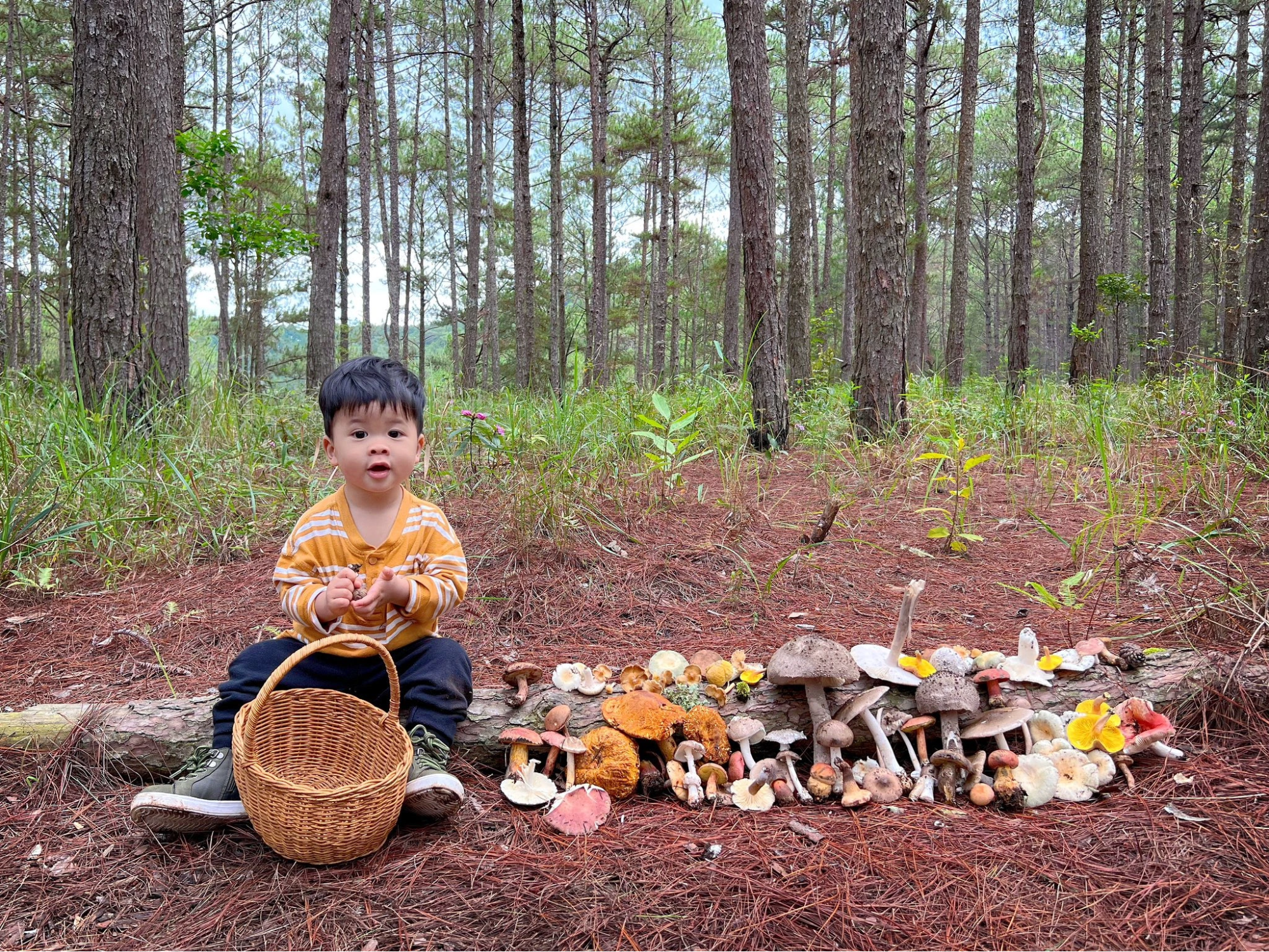 Thời điểm tham gia lớp kỹ năng sống thích hợp trong năm là vào kỳ nghỉ hè. (Ảnh: Sưu tầm Internet)