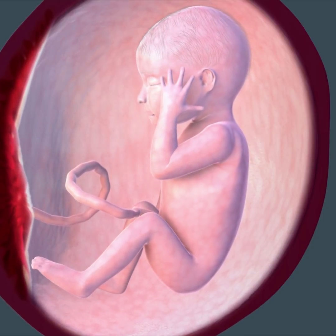 Thai nhi 30 tuần phát triển như thế nào? (Ảnh: Sưu tầm Internet)