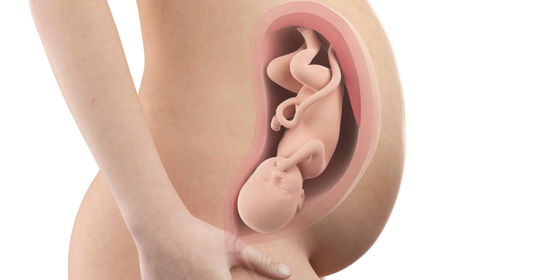 Thai nhi 35 tuần tuổi đã có thể quay đầu. (Ảnh: Sưu tầm Internet)