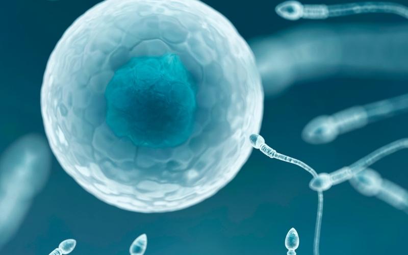 Nam giới mắc bệnh tinh trùng yếu. (Ảnh: Sưu tầm Internet)