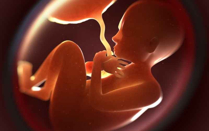 Thai nhi bị đe dọa sự an toàn bởi những dấu hiệu thai yếu. (Ảnh: Sưu tầm Internet)