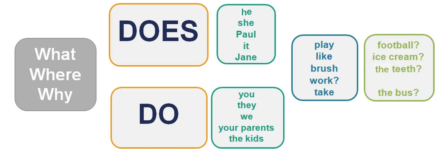 Present simple questions. (Image: Internet)