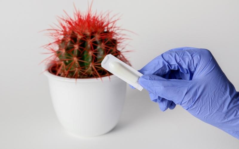 Tổng quan về bệnh trĩ. (Ảnh: Sưu tầm Internet)