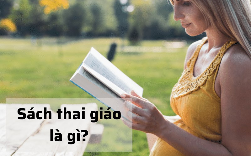 Sách thai giáo là gì? (Ảnh: Sưu tầm Internet)
