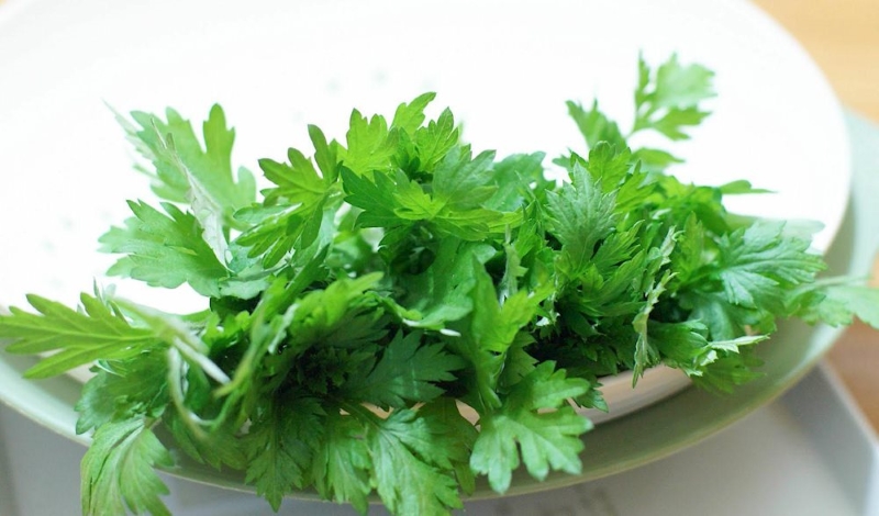 Ngải cứu là loại rau có lợi cho sức khỏe của mẹ bỉm sữa. (Ảnh: Sưu tầm Internet)