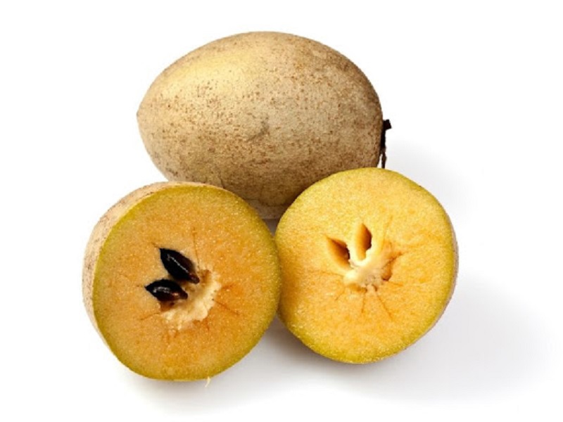 Quả sapoche chứa nhiều dinh dưỡng tốt cho mẹ sau sinh. (Ảnh: Sưu tầm Internet)