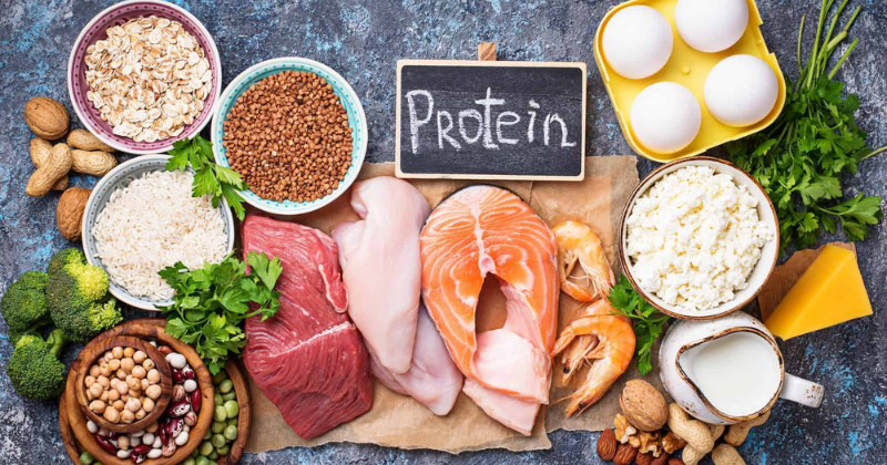 Các nguồn thực phẩm động vật và thực vật giàu protein (Ảnh sưu tầm Internet)