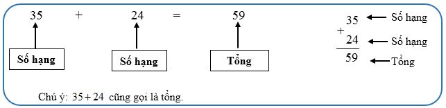 Số Hạng Là Gì? Khám Phá Ý Nghĩa, Ứng Dụng Và Ví Dụ Cụ Thể