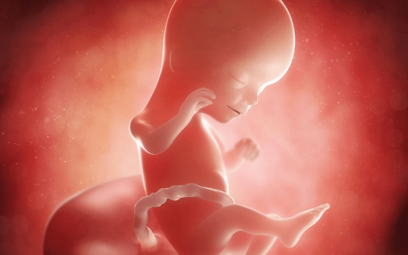 Trẻ từ 16-18 tuần tuổi đã có thể nghe thấy. (Ảnh: Sưu tầm Internet)